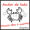 Avatar do usuário